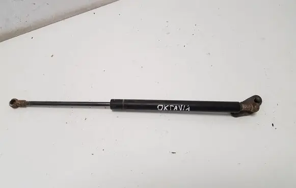 Tailgate strut