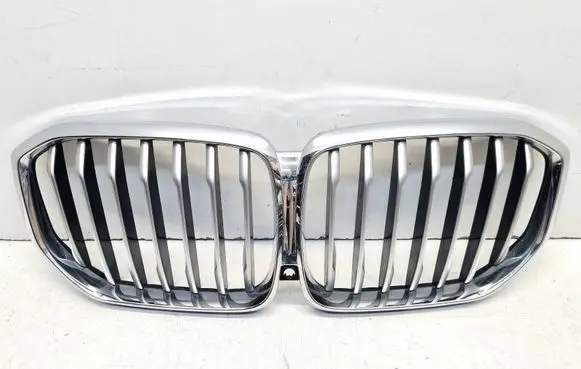 BMW X5 G05 Front grill 21454110