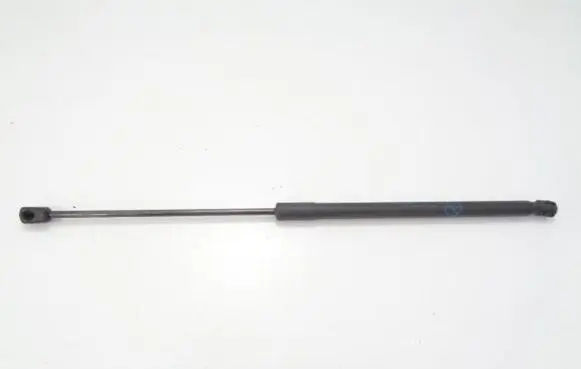 Tailgate strut