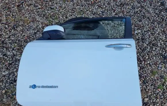 Nissan Leaf I (ZE0) Front door