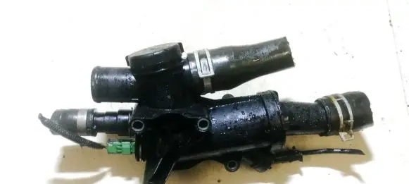 Fiat Ulysse Engine coolant pipe/hose 9656182980