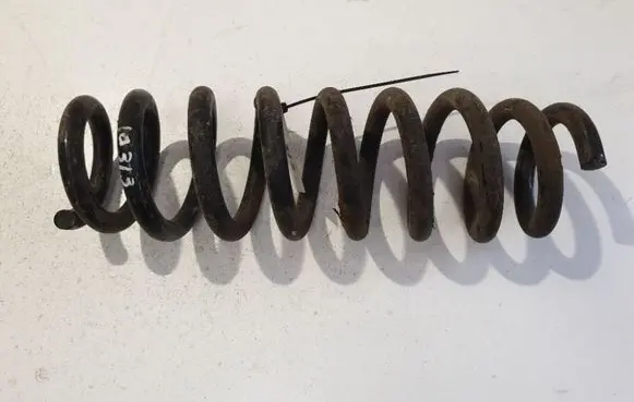 Rear coil spring