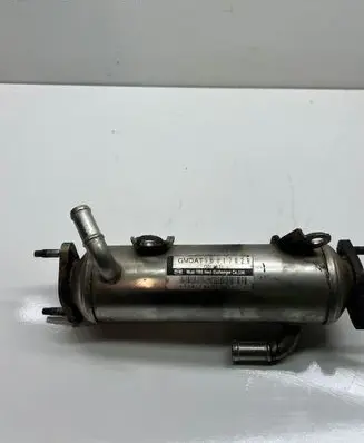 Chevrolet Captiva EGR valve cooler 96817829 C012371