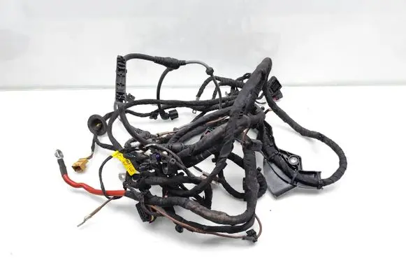 Cupra Born Other wiring loom 1EA971658 1EA971824A