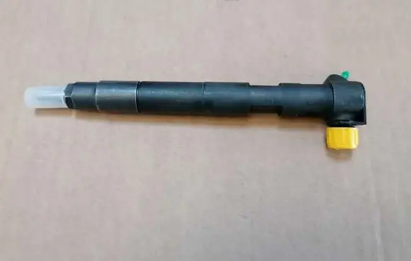 Mercedes-Benz Sprinter W906 Fuel injector R00002D