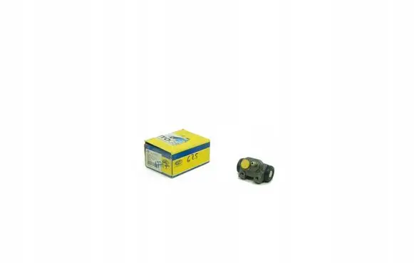Fiat Tempra Rear brake cylinder BSW0200
