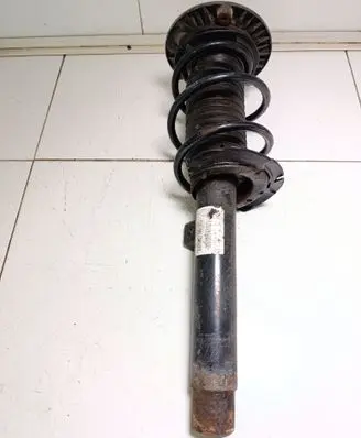 Front shock absorber with coil spring