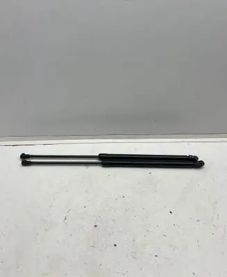 Nissan Qashqai Tailgate/trunk strut/damper 904504EA0A