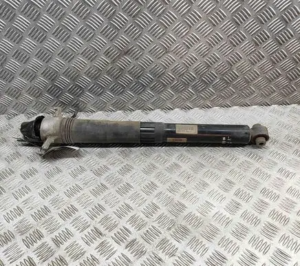 Porsche Cayenne (9Y0 9Y3) Rear shock absorber/damper 9Y0513031C