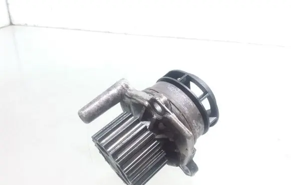 Volkswagen PASSAT B6 Water pump 038121019E