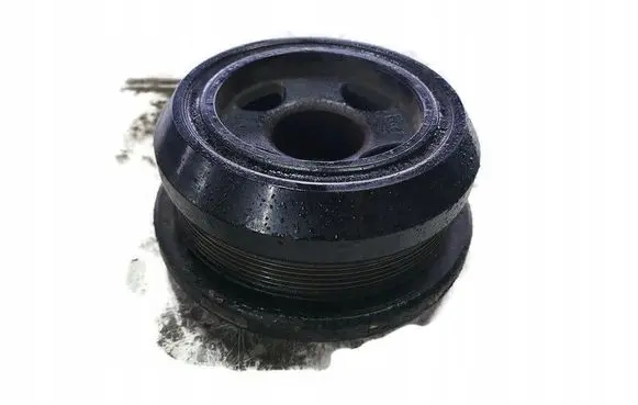 BMW X6 E71 Fuel pump gear (pulley) 381KM