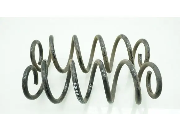 Rear coil spring