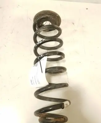 Volkswagen e-Golf Rear coil spring 5Q0511115BJ