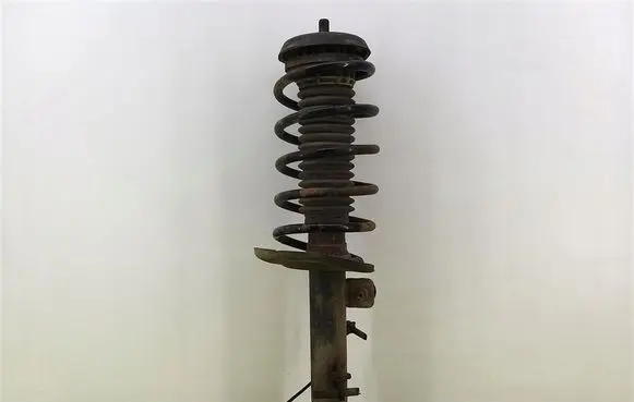Peugeot 207 Front shock absorber with coil spring 