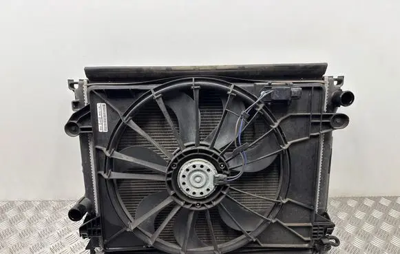Dodge Charger Radiator set 