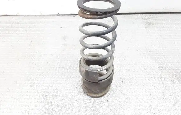 Jaguar X-Type Rear coil spring