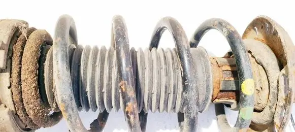 Front coil spring