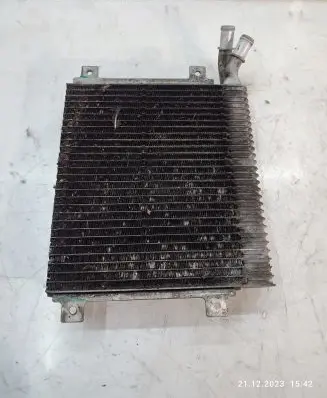 Jaguar XF X250 Coolant radiator 9X238D048AD