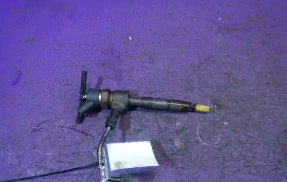 Fiat Stilo Fuel injector 0445110119
