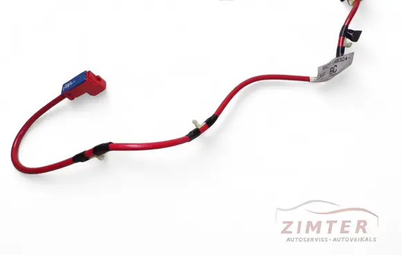 Other wiring loom