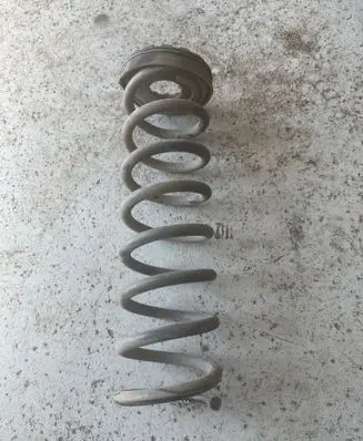 Rear coil spring