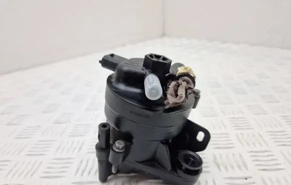 Citroen DS5 Fuel filter 8V7M0216