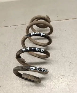 Rear coil spring