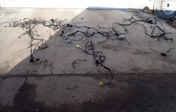 Renault Scenic III - Grand scenic III Other wiring loom 