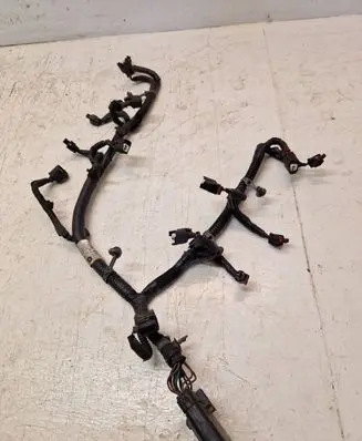Chrysler Town & Country V Other wiring loom 65148037AH