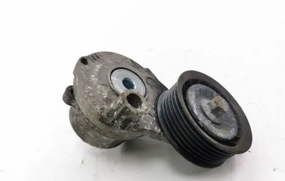 Chevrolet Orlando Alternator belt tensioner 25182787
