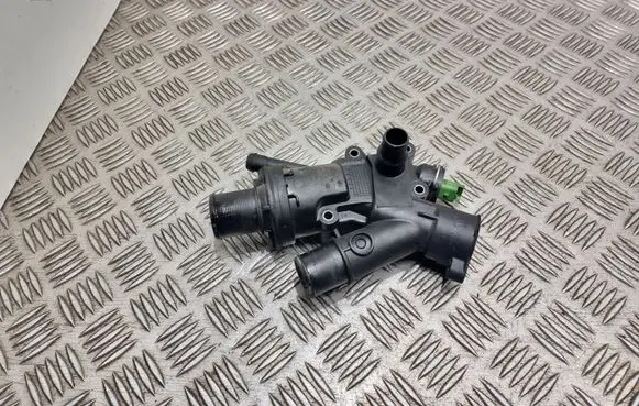 Thermostat/thermostat housing
