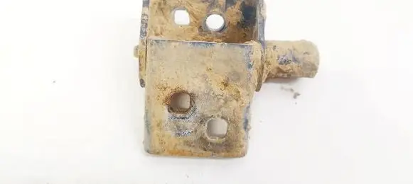 Renault Modus Rear door lower hinge 