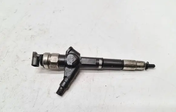 Nissan Pathfinder R51 Fuel injector 16600EB300 07G08504