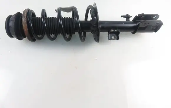 Fiat Sedici Front shock absorber with coil spring MGA6414