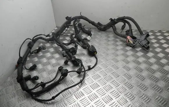 Engine installation wiring loom