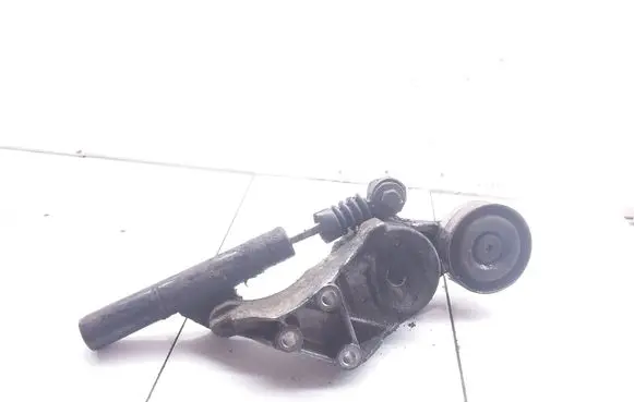 Volkswagen Bora Generator/alternator belt tensioner 4340103