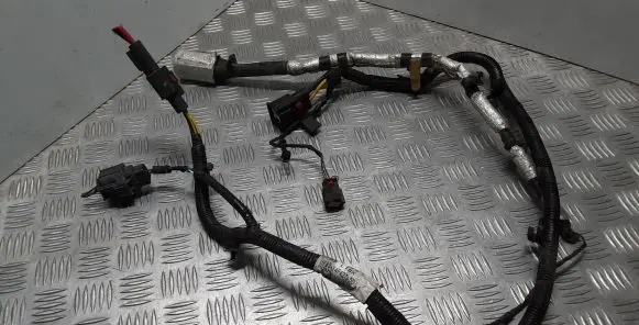 Other wiring loom