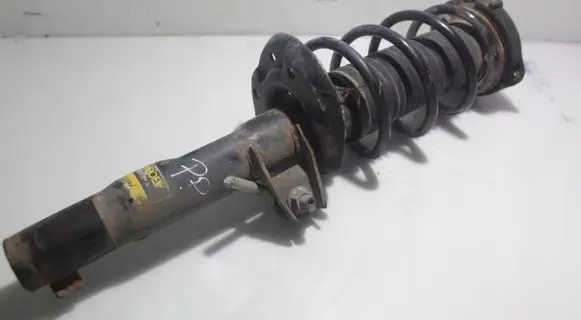 Front shock absorber with coil spring
