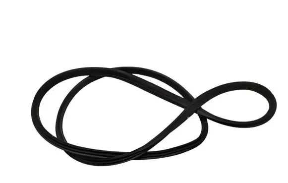 Ford Focus C-MAX Front door rubber seal 