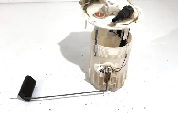 Renault Kangoo II In-tank fuel pump 8200689199