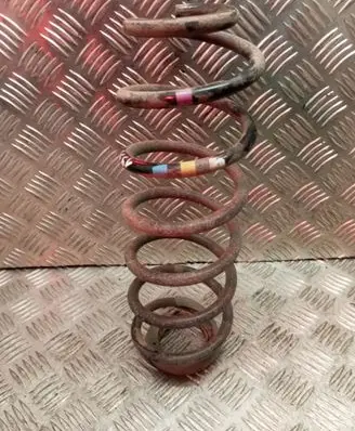 Rear coil spring