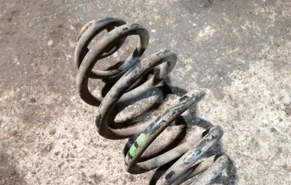 Volkswagen PASSAT B5.5 Rear coil spring