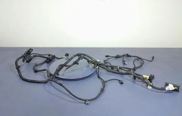 BMW X5 E53 Other wiring loom 9887452