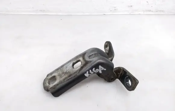 Rear door lower hinge