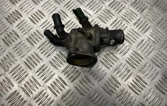 Thermostat/thermostat housing
