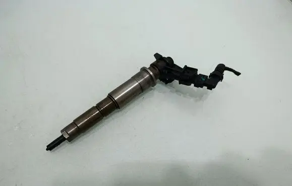 Renault Koleos I Fuel injector 0445115084 H82828929