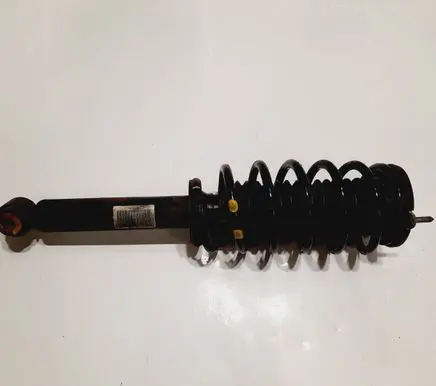 Citroen C5 Rear shock absorber with coil spring 9686177480