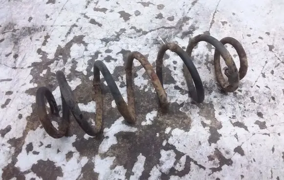 Volkswagen New Beetle Rear coil spring 