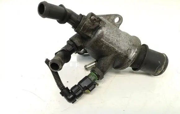 Thermostat/thermostat housing