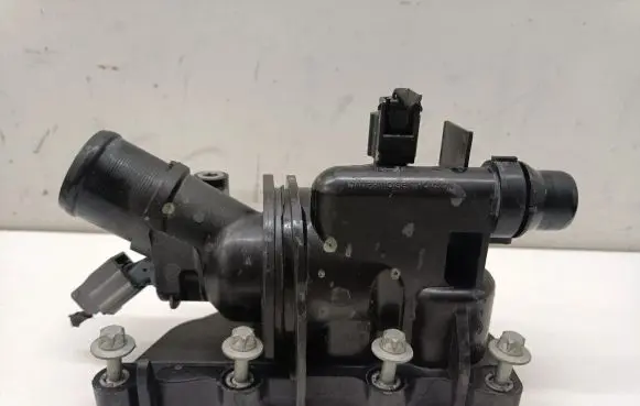 Thermostat/thermostat housing